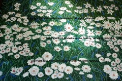Giverny-Daisies-v.1-with-Copyright